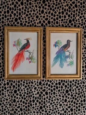 Vintage Original Real Bird Feathers Paintings! Eclectic!